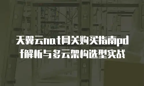 天翼云nat网关购买指南pdf解析与多云架构选型实战