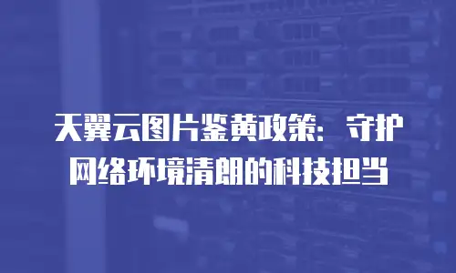 天翼云图片鉴黄政策：守护网络环境清朗的科技担当