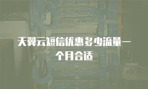 天翼云短信优惠多少流量一个月合适
