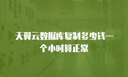 天翼云数据库复制多少钱一个小时算正常