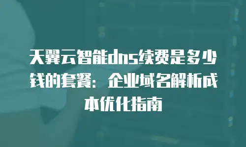 天翼云智能dns续费是多少钱的套餐：企业域名解析成本优化指南