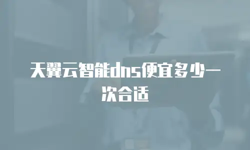 天翼云智能dns便宜多少一次合适