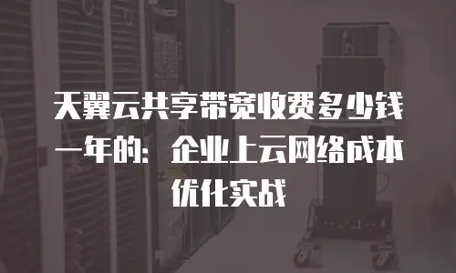 天翼云共享带宽收费多少钱一年的：企业上云网络成本优化实战