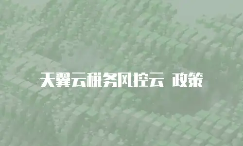 天翼云税务风控云 政策