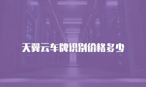 天翼云车牌识别价格多少