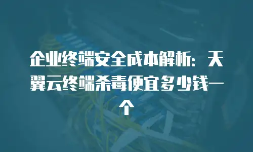 企业终端安全成本解析：天翼云终端杀毒便宜多少钱一个