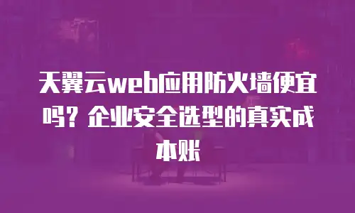 天翼云web应用防火墙便宜吗？企业安全选型的真实成本账