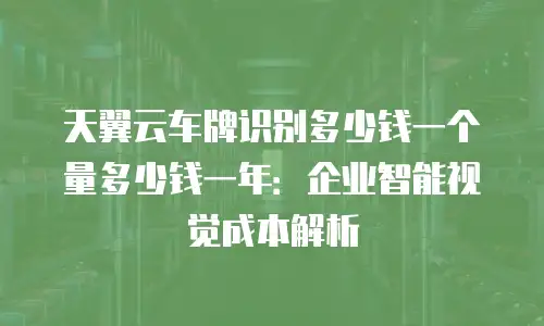 天翼云车牌识别多少钱一个量多少钱一年：企业智能视觉成本解析