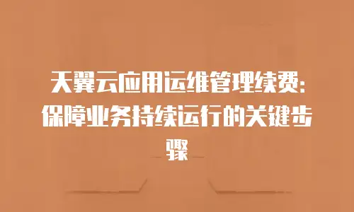 天翼云应用运维管理续费：保障业务持续运行的关键步骤