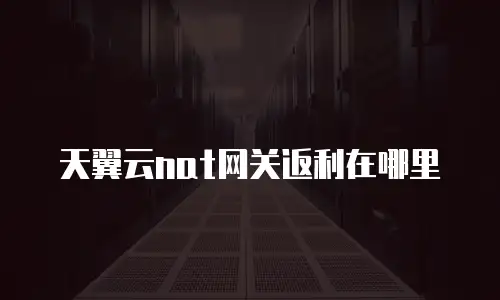 天翼云nat网关返利在哪里