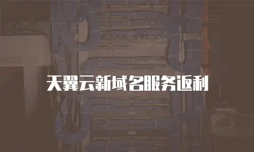 天翼云新域名服务返利