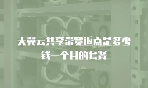 天翼云共享带宽返点是多少钱一个月的套餐