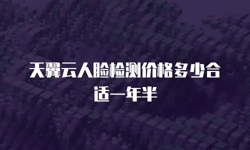 天翼云人脸检测价格多少合适一年半