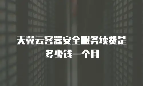 天翼云容器安全服务续费是多少钱一个月