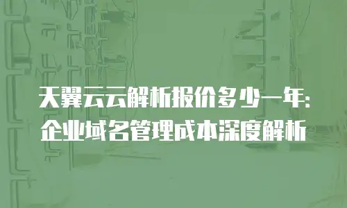 天翼云云解析报价多少一年：企业域名管理成本深度解析