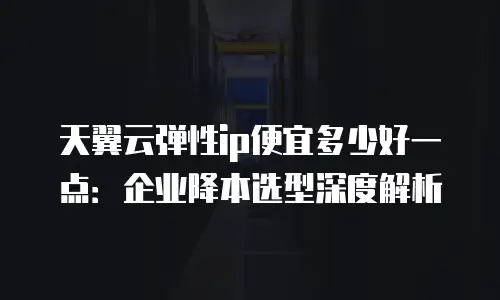 天翼云弹性ip便宜多少好一点：企业降本选型深度解析