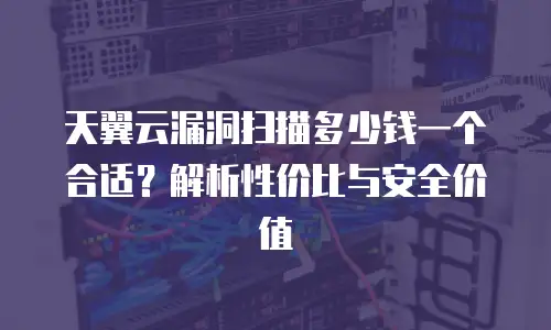 天翼云漏洞扫描多少钱一个合适？解析性价比与安全价值