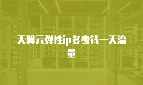 天翼云弹性ip多少钱一天流量
