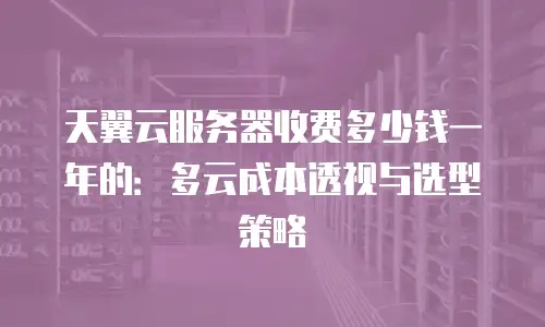 天翼云服务器收费多少钱一年的：多云成本透视与选型策略