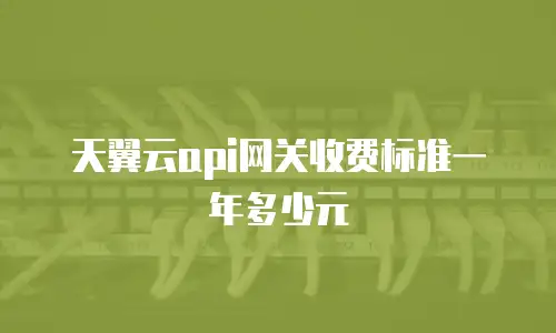 天翼云api网关收费标准一年多少元
