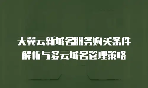 天翼云新域名服务购买条件解析与多云域名管理策略