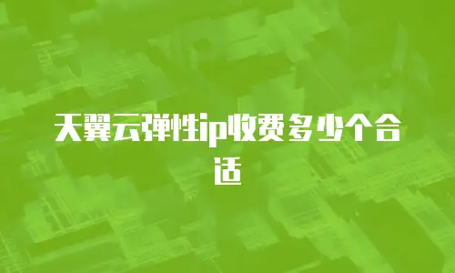 天翼云弹性ip收费多少个合适