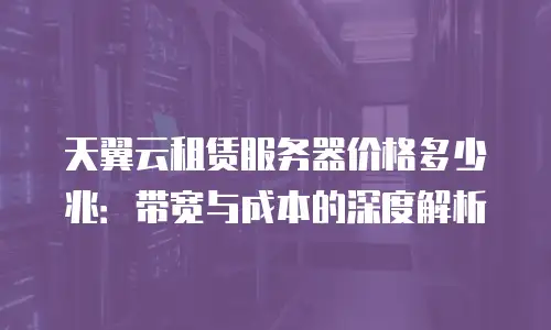 天翼云租赁服务器价格多少兆：带宽与成本的深度解析