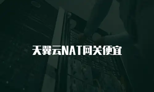 天翼云NAT网关便宜