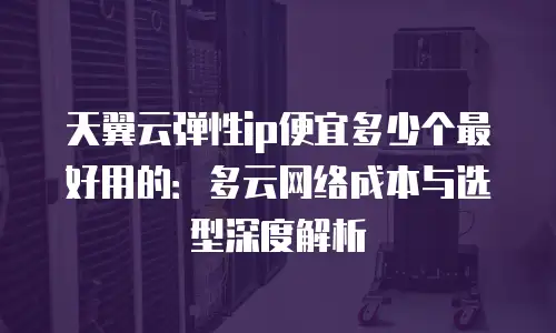 天翼云弹性ip便宜多少个最好用的：多云网络成本与选型深度解析