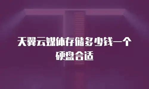 天翼云媒体存储多少钱一个硬盘合适