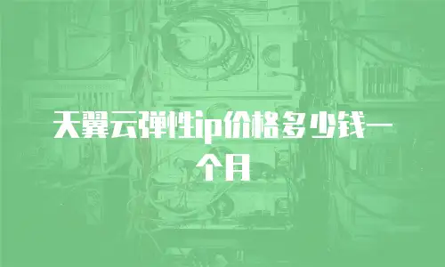 天翼云弹性ip价格多少钱一个月