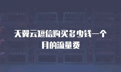 天翼云短信购买多少钱一个月的流量费