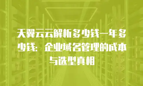 天翼云云解析多少钱一年多少钱：企业域名管理的成本与选型真相