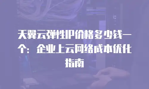 天翼云弹性IP价格多少钱一个：企业上云网络成本优化指南