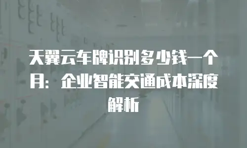 天翼云车牌识别多少钱一个月：企业智能交通成本深度解析
