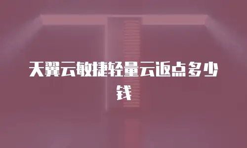 天翼云敏捷轻量云返点多少钱