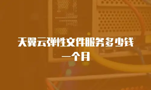 天翼云弹性文件服务多少钱一个月