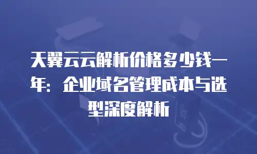 天翼云云解析价格多少钱一年：企业域名管理成本与选型深度解析