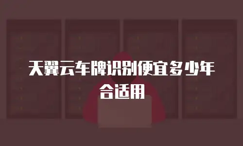天翼云车牌识别便宜多少年合适用