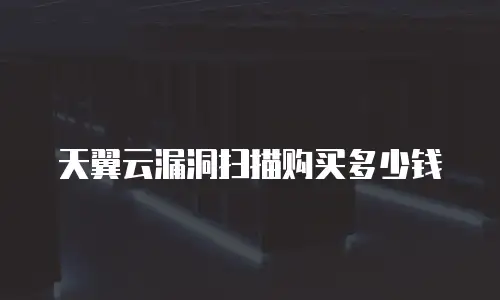 天翼云漏洞扫描购买多少钱