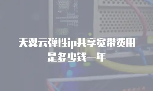 天翼云弹性ip共享宽带费用是多少钱一年