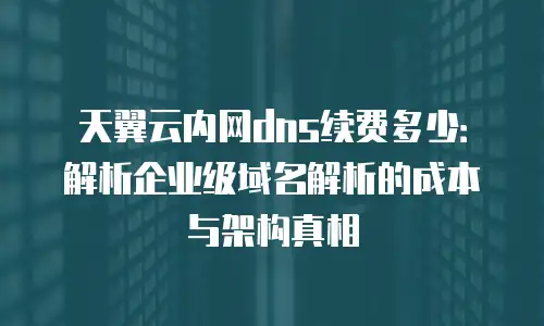 天翼云内网dns续费多少：解析企业级域名解析的成本与架构真相