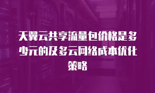 天翼云共享流量包价格是多少元的及多云网络成本优化策略