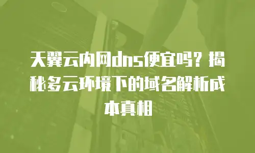 天翼云内网dns便宜吗？揭秘多云环境下的域名解析成本真相