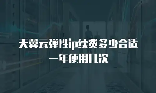 天翼云弹性ip续费多少合适一年使用几次
