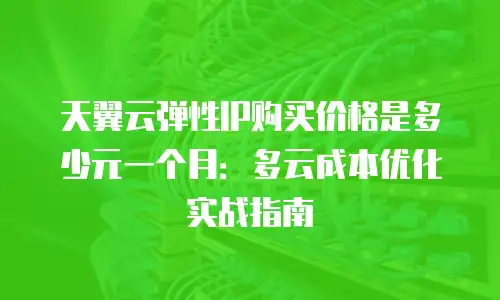 天翼云弹性IP购买价格是多少元一个月：多云成本优化实战指南