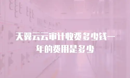 天翼云云审计收费多少钱一年的费用是多少