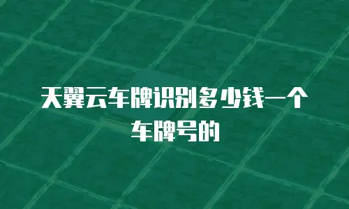 天翼云车牌识别多少钱一个车牌号的