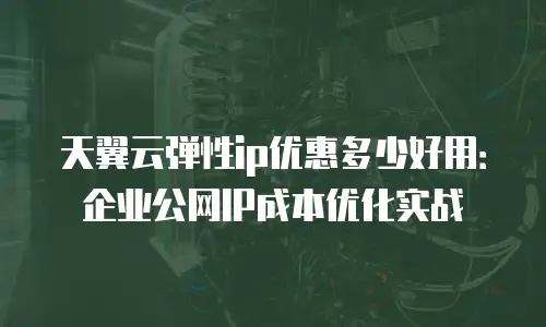 天翼云弹性ip优惠多少好用：企业公网IP成本优化实战