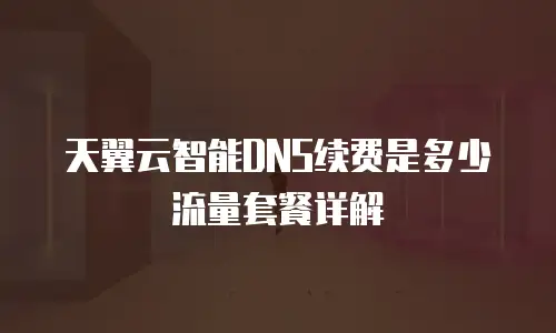 天翼云智能DNS续费是多少流量套餐详解